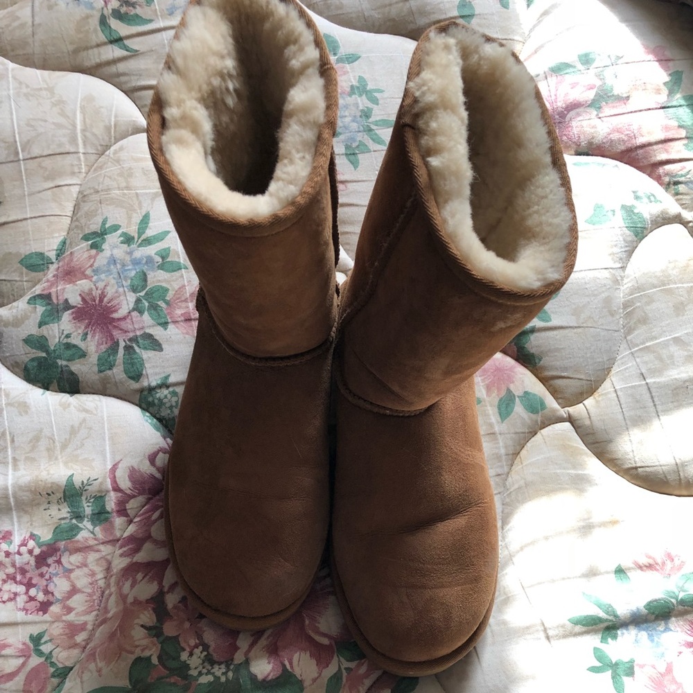 Tan uggs